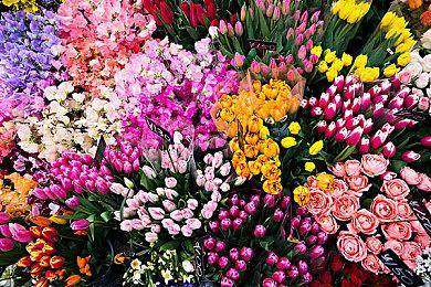 《最终幻想7：核心危机 再融合》实体英雄版预购开启 售价1557元